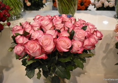 Wendy Kristy with Jan Spek Roses